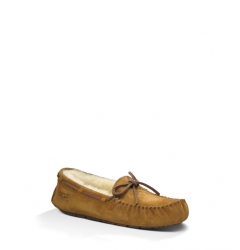 Dakota Womens Chestnut 5612