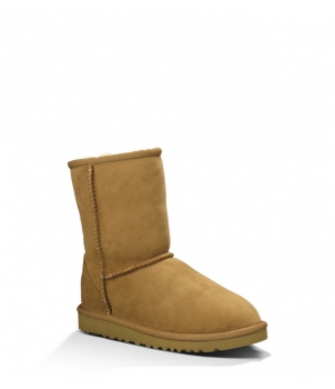 Classic Short Chestnut 5251  