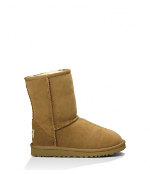 Classic Short Chestnut 5251  
