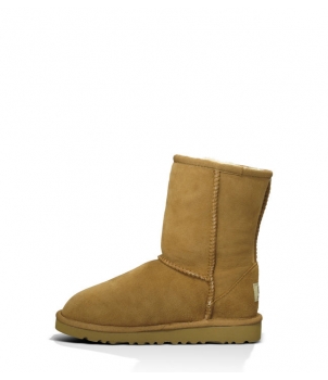 Classic Short Chestnut 5251  