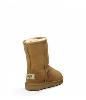 Classic Short Chestnut 5251  